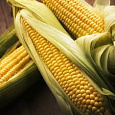 Кукуруза Золотой батам